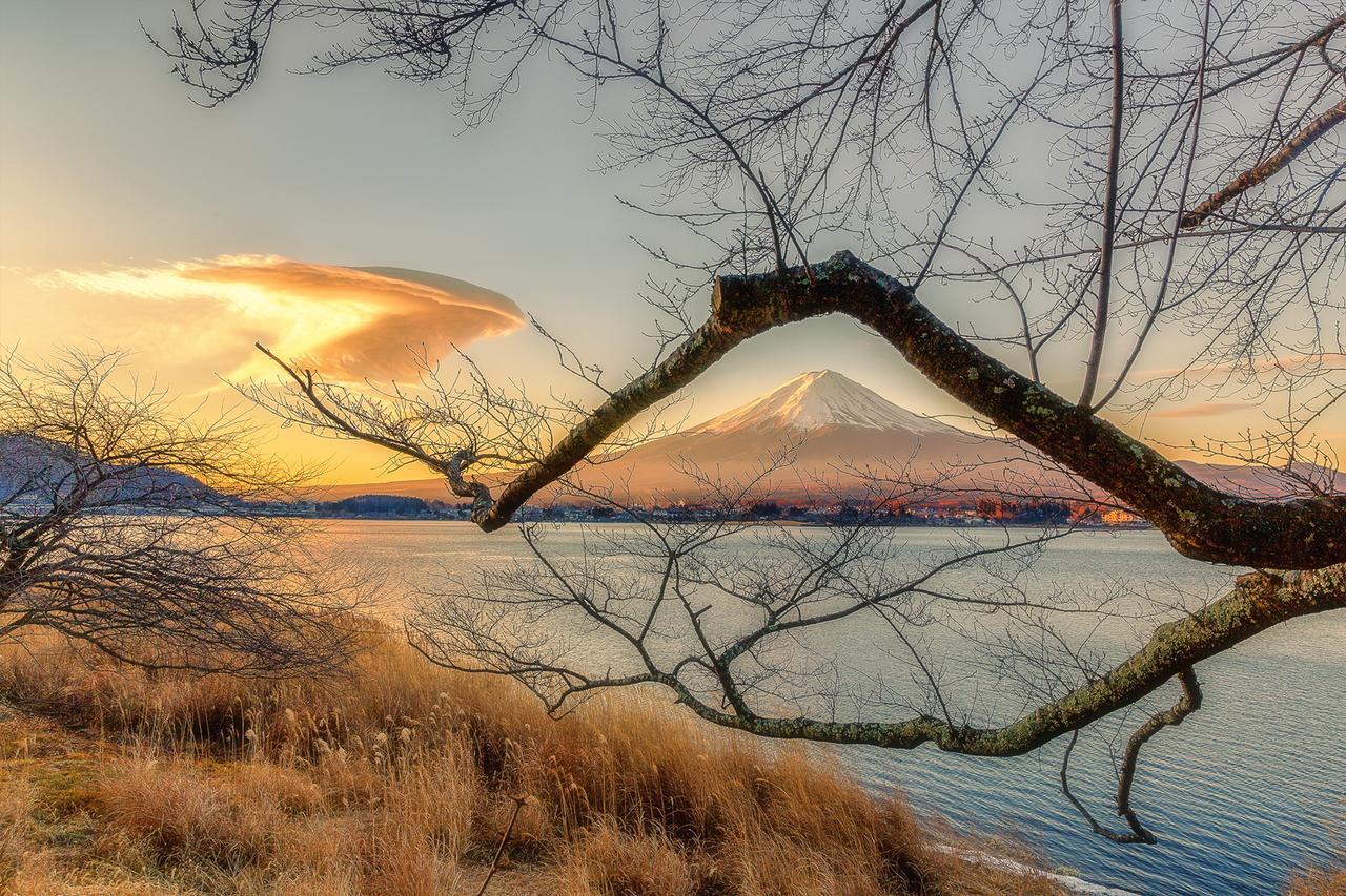 Yamabiko Lake Saiko Fujikawaguchiko Exteriör bild